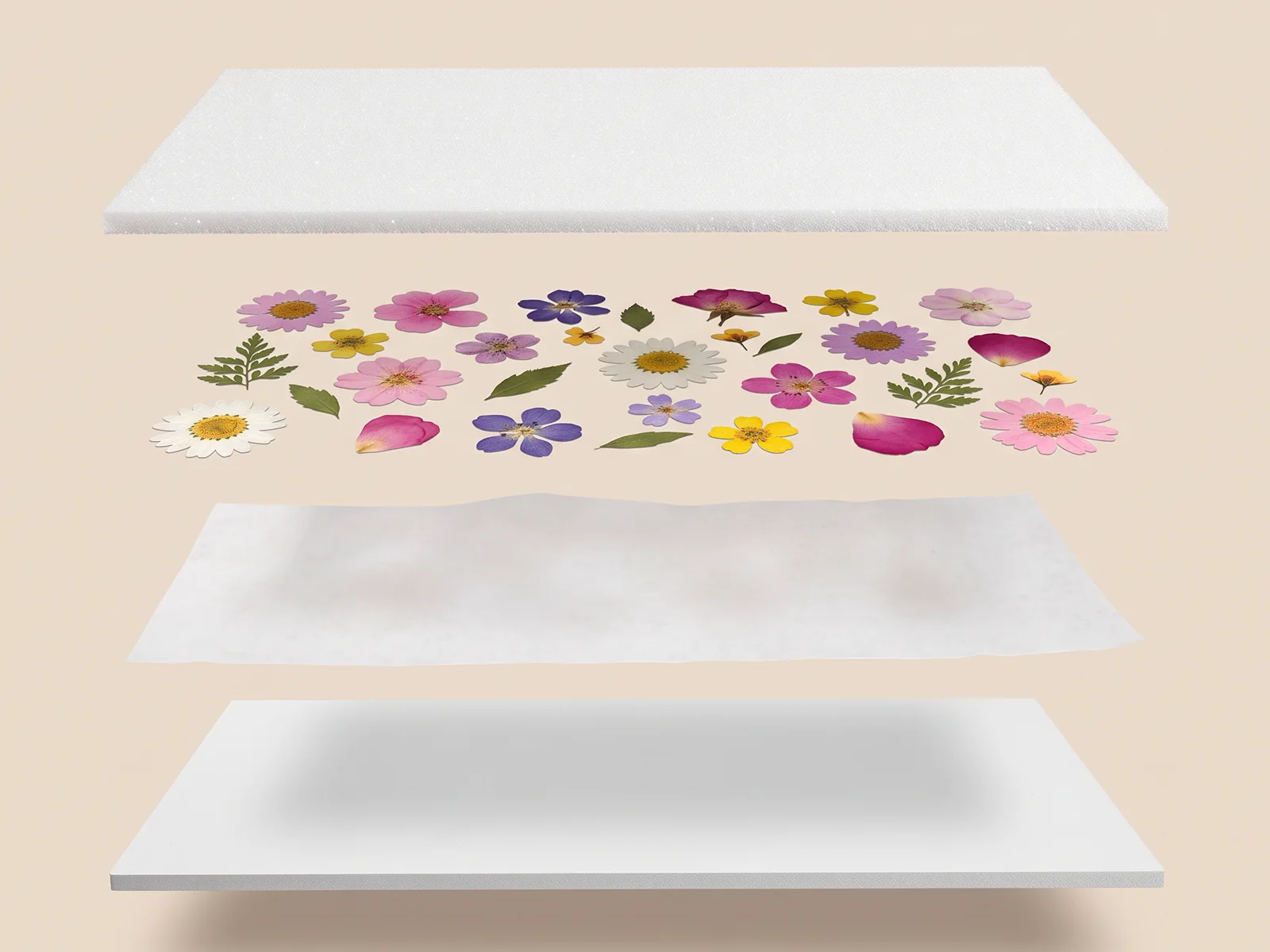 The layering order: foam, paper, flowers, paper, blotting board, paper, foam.